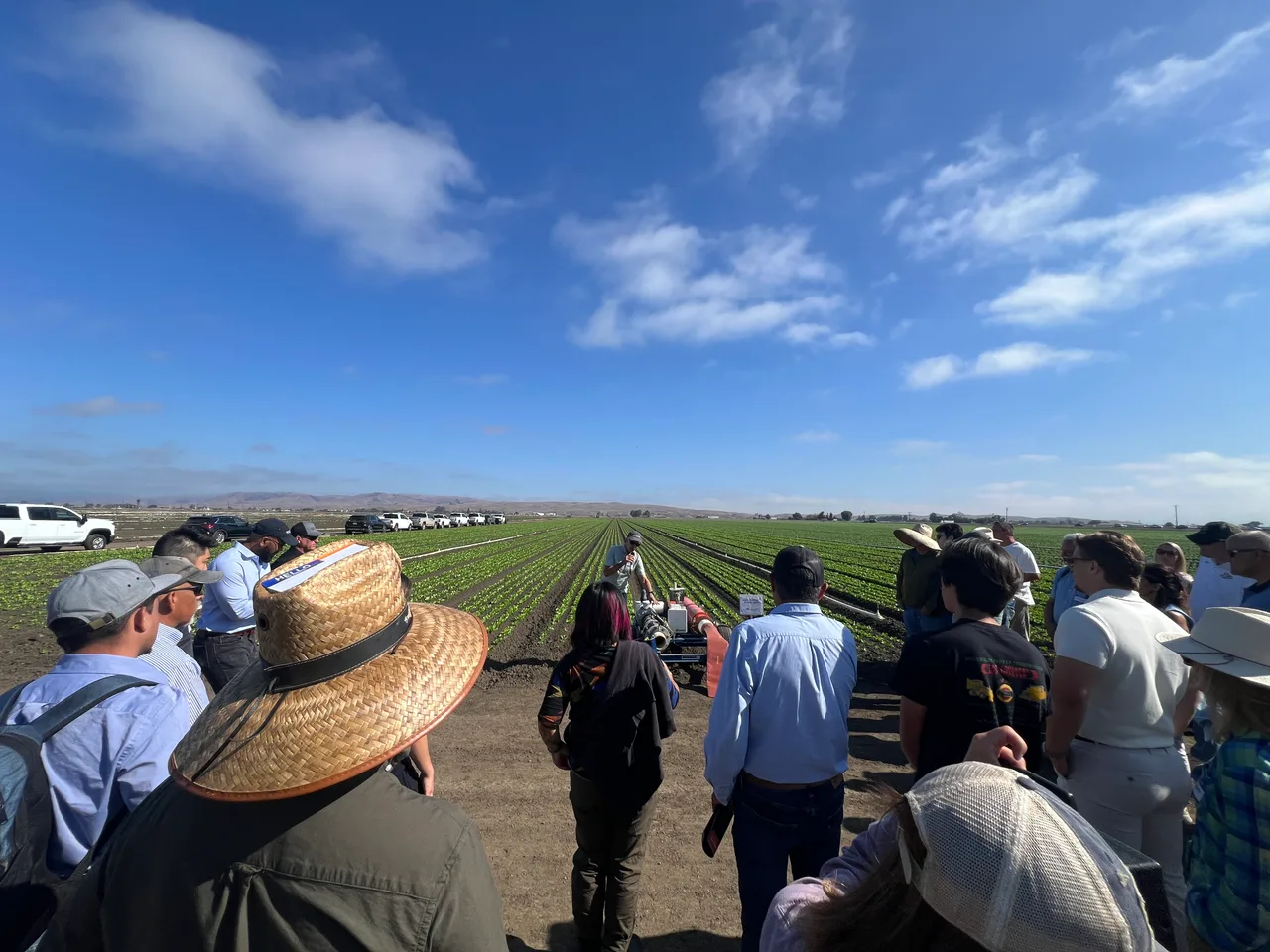 A group gathers around a field demonstration among vegetable rows.